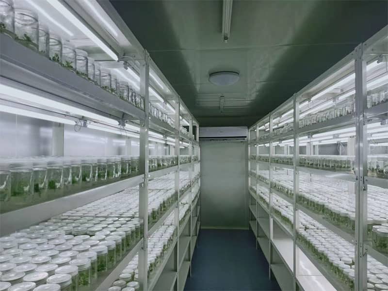 免费看片网站91架深受消費者喜愛的原因