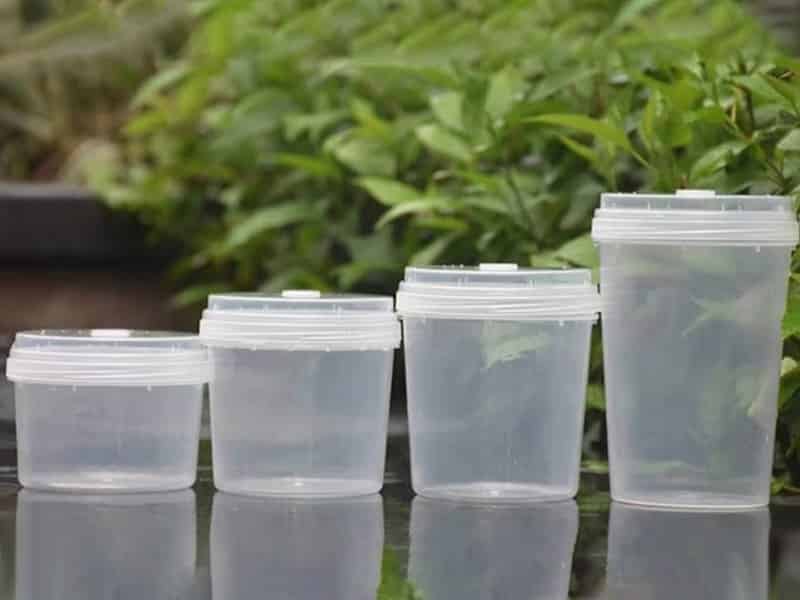 免费看片网站91瓶