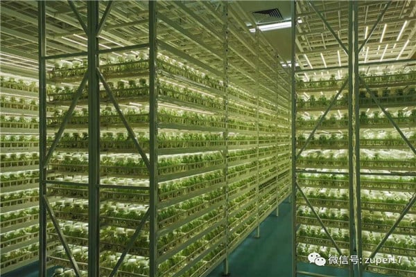 免费看片网站91儀器設備